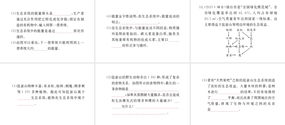 （重庆专版）中考生物 第二部分 知识综合突破 专题二 生物与环境复习配套课件-人教级全册生物课件