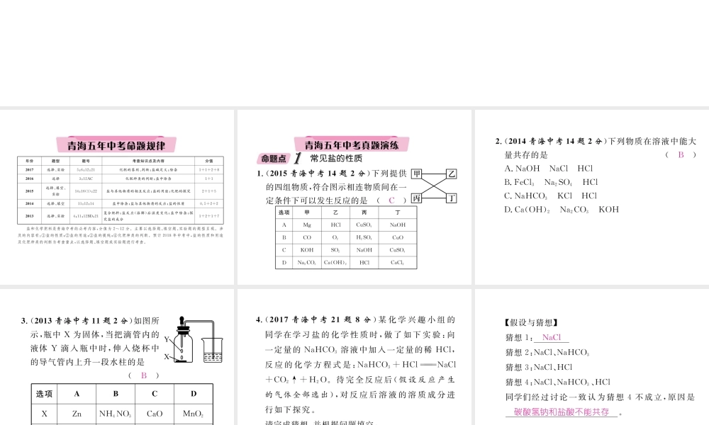 （青海专版）中考化学复习 第1编 教材知识梳理篇 第11单元 盐 化肥五年中考真题演练（精讲）课件-人教版初中九年级全册化学课件