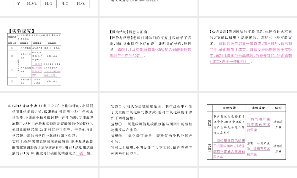 （青海专版）中考化学复习 第1编 教材知识梳理篇 第11单元 盐 化肥五年中考真题演练（精讲）课件-人教版初中九年级全册化学课件