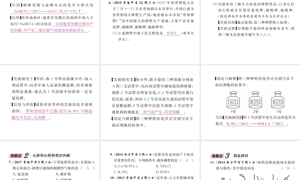 （青海专版）中考化学复习 第1编 教材知识梳理篇 第11单元 盐 化肥五年中考真题演练（精讲）课件-人教版初中九年级全册化学课件