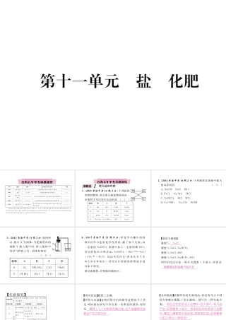 （青海专版）中考化学复习 第1编 教材知识梳理篇 第11单元 盐 化肥五年中考真题演练（精讲）课件-人教版初中九年级全册化学课件