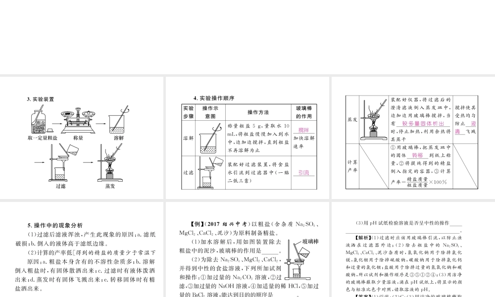 （青海专版）中考化学复习 第1编 教材知识梳理篇 第11单元 盐 化肥中考实验突破（精讲）课件-人教版初中九年级全册化学课件