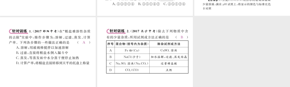 （青海专版）中考化学复习 第1编 教材知识梳理篇 第11单元 盐 化肥中考实验突破（精讲）课件-人教版初中九年级全册化学课件