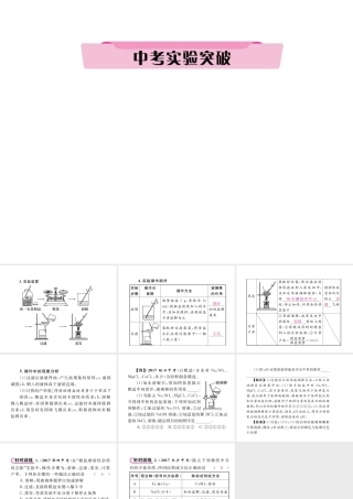 （青海专版）中考化学复习 第1编 教材知识梳理篇 第11单元 盐 化肥中考实验突破（精讲）课件-人教版初中九年级全册化学课件
