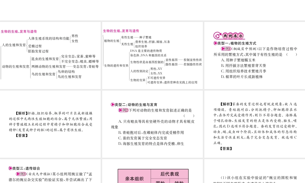 （重庆专版）中考生物 第二部分 知识综合突破 专题六 生物的生殖、发育和遗传复习配套课件-人教级全册生物课件