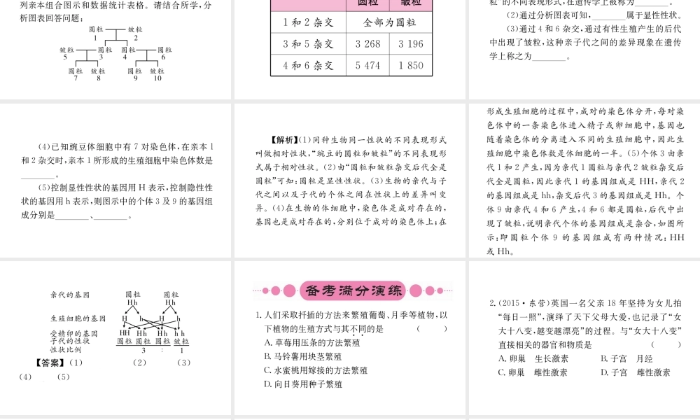 （重庆专版）中考生物 第二部分 知识综合突破 专题六 生物的生殖、发育和遗传复习配套课件-人教级全册生物课件