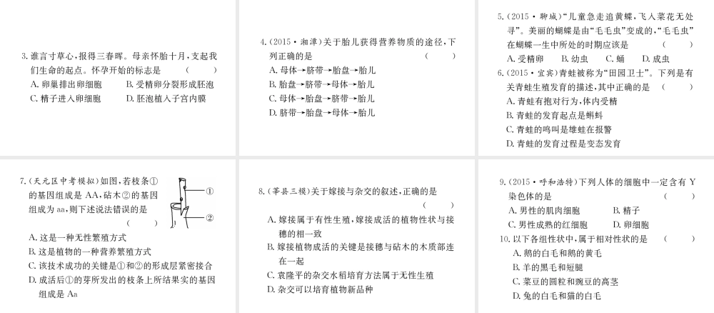 （重庆专版）中考生物 第二部分 知识综合突破 专题六 生物的生殖、发育和遗传复习配套课件-人教级全册生物课件