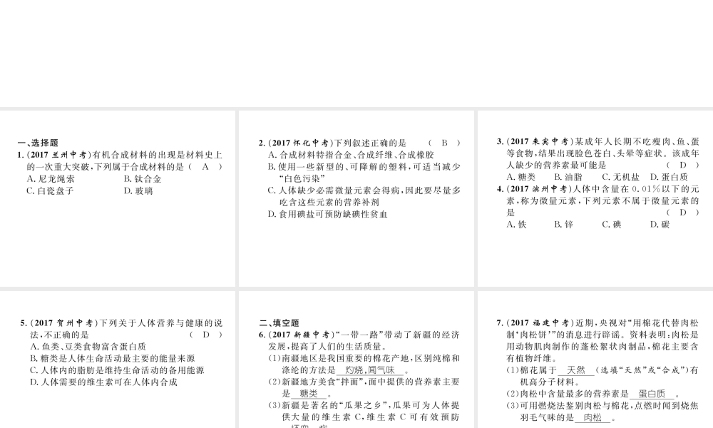 （青海专版）中考化学复习 第1编 教材知识梳理篇 第12单元 化学与生活（精练）课件-人教版初中九年级全册化学课件
