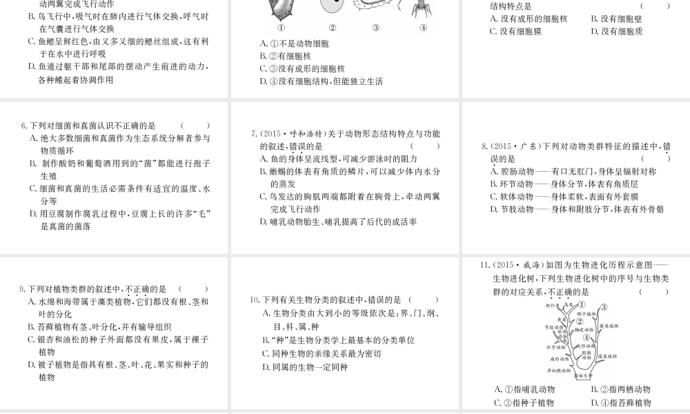 （重庆专版）中考生物 第二部分 知识综合突破 专题七 生物的多样性复习配套课件-人教级全册生物课件