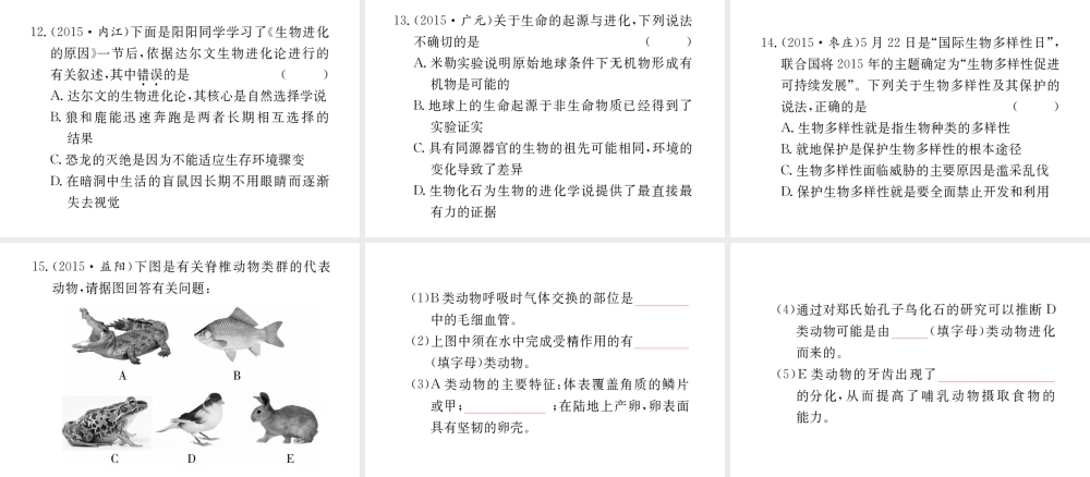 （重庆专版）中考生物 第二部分 知识综合突破 专题七 生物的多样性复习配套课件-人教级全册生物课件