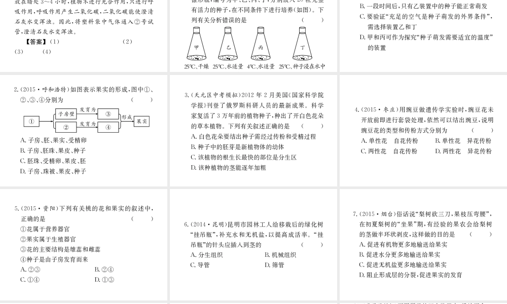 （重庆专版）中考生物 第二部分 知识综合突破 专题三 生物圈中的绿色植物复习配套课件-人教版初中九年级全册生物课件