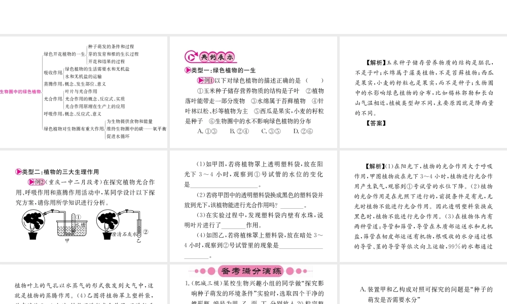 （重庆专版）中考生物 第二部分 知识综合突破 专题三 生物圈中的绿色植物复习配套课件-人教级全册生物课件