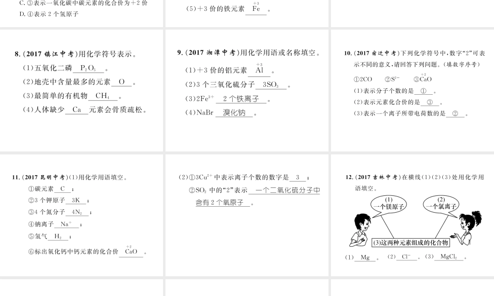 （青海专版）中考化学复习 第1编 教材知识梳理篇 化学用语专项训练课件-人教版初中九年级全册化学课件