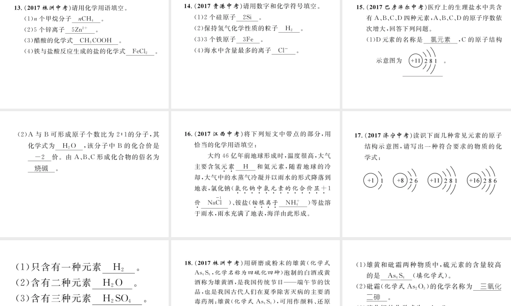 （青海专版）中考化学复习 第1编 教材知识梳理篇 化学用语专项训练课件-人教版初中九年级全册化学课件