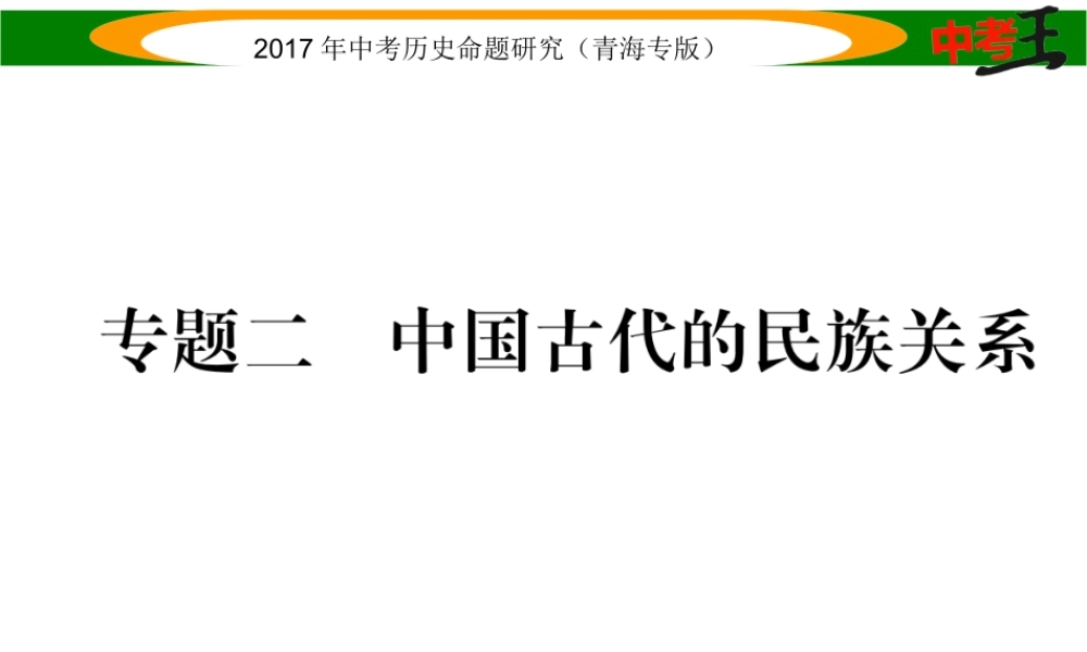 （青海专版）中考历史总复习 热点专题突破篇 专题二 中国古代的民族关系课件-人教版初中九年级全册历史课件