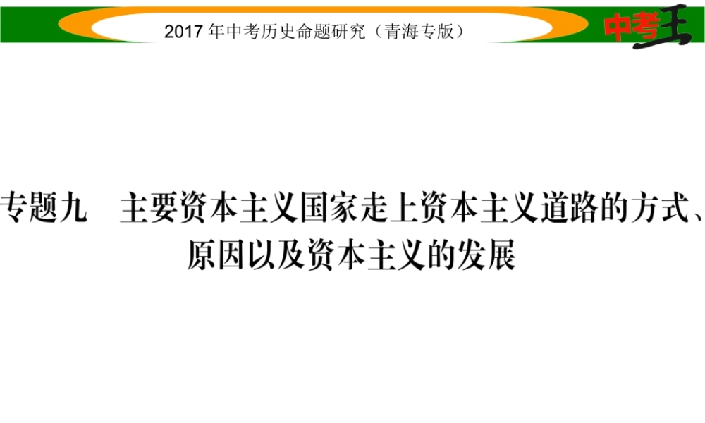 （青海专版）中考历史总复习 热点专题突破篇 专题九 主要资本主义国家走上资本主义道路的方式、原因以及资本主义的发展课件-人教版初中九年级全册历史课件