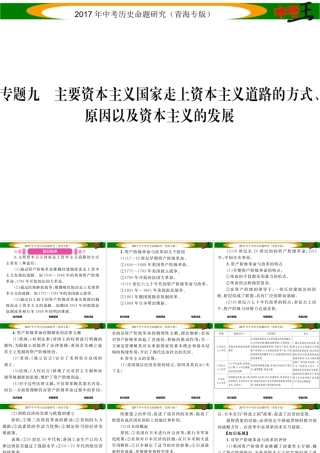 （青海专版）中考历史总复习 热点专题突破篇 专题九 主要资本主义国家走上资本主义道路的方式、原因以及资本主义的发展课件-人教版初中九年级全册历史课件