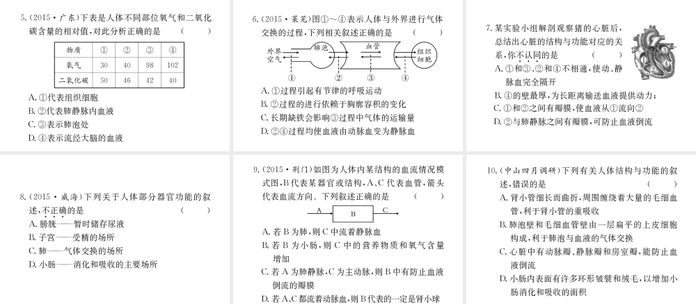 （重庆专版）中考生物 第二部分 知识综合突破 专题四 生物圈中的人复习配套课件-人教级全册生物课件