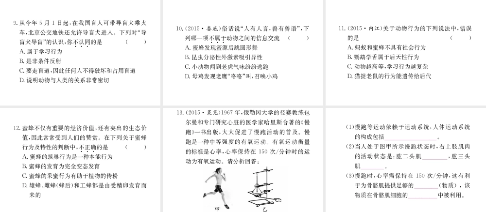 （重庆专版）中考生物 第二部分 知识综合突破 专题五 动物的运动和行为复习配套课件-人教级全册生物课件