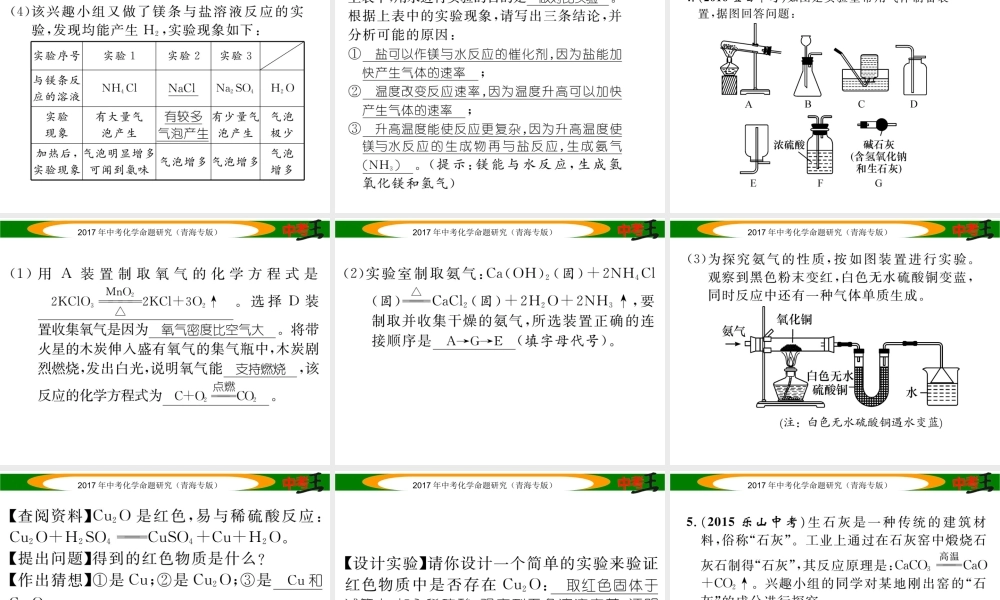 （青海专版）中考化学命题研究 第二编 重点题型突破篇 专题四 实验探究题（精练）课件-人教版初中九年级全册化学课件