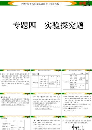 （青海专版）中考化学命题研究 第二编 重点题型突破篇 专题四 实验探究题（精练）课件-人教版初中九年级全册化学课件