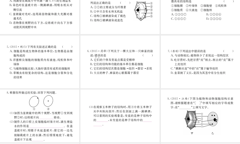 （重庆专版）中考生物 第二部分 知识综合突破 专题一 生物体的结构层次复习配套课件-人教版初中九年级全册生物课件