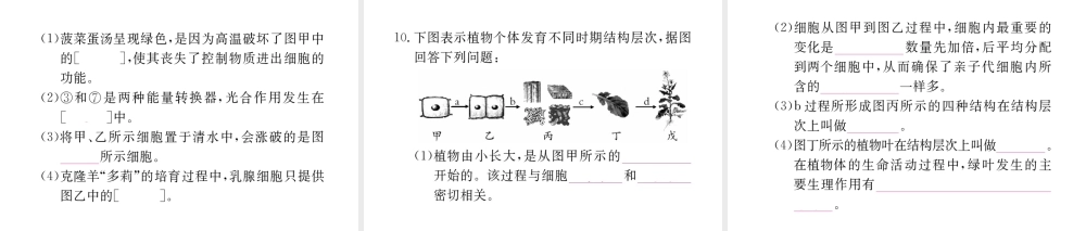 （重庆专版）中考生物 第二部分 知识综合突破 专题一 生物体的结构层次复习配套课件-人教版初中九年级全册生物课件