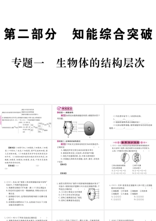 （重庆专版）中考生物 第二部分 知识综合突破 专题一 生物体的结构层次复习配套课件-人教版初中九年级全册生物课件