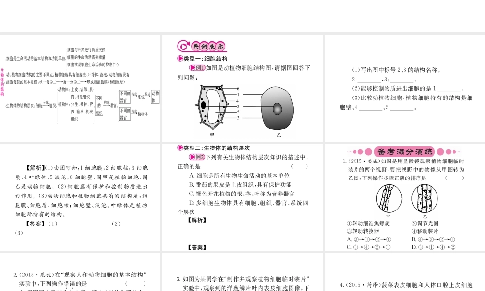 （重庆专版）中考生物 第二部分 知识综合突破 专题一 生物体的结构层次复习配套课件-人教级全册生物课件
