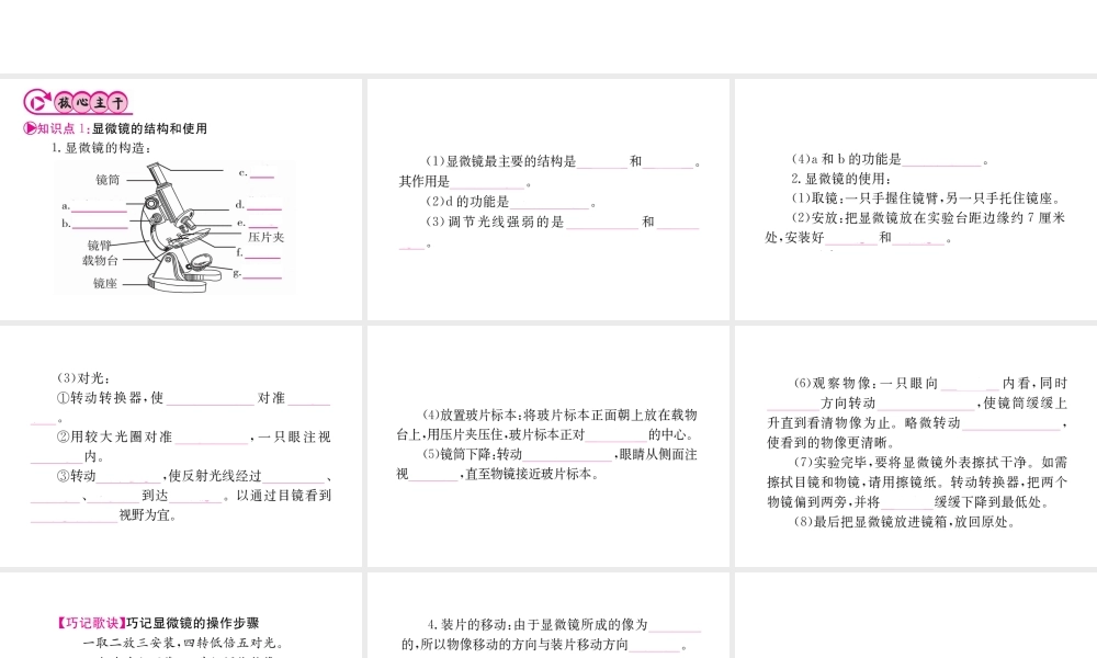 （重庆专版）中考生物 第一部分 知识系统复习 第二单元 生物体的结构层次配套课件-人教级全册生物课件