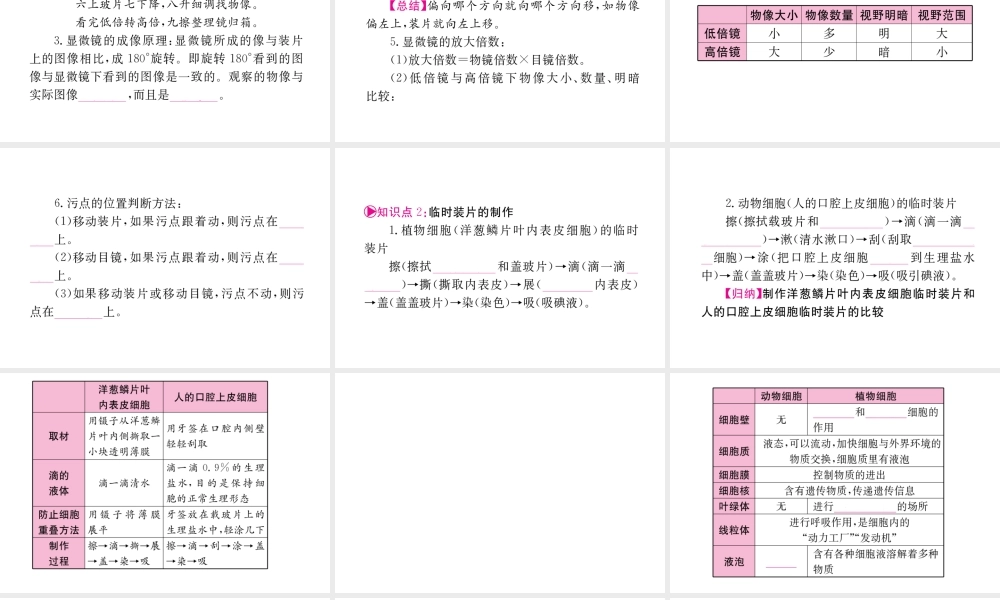 （重庆专版）中考生物 第一部分 知识系统复习 第二单元 生物体的结构层次配套课件-人教级全册生物课件