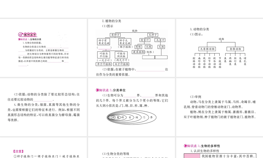 （重庆专版）中考生物 第一部分 知识系统复习 第六单元 生物的多样性及其保护配套课件-人教版初中九年级全册生物课件