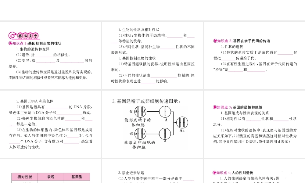 （重庆专版）中考生物 第一部分 知识系统复习 第七单元 第二章 生物的遗传与变异配套课件-人教级全册生物课件