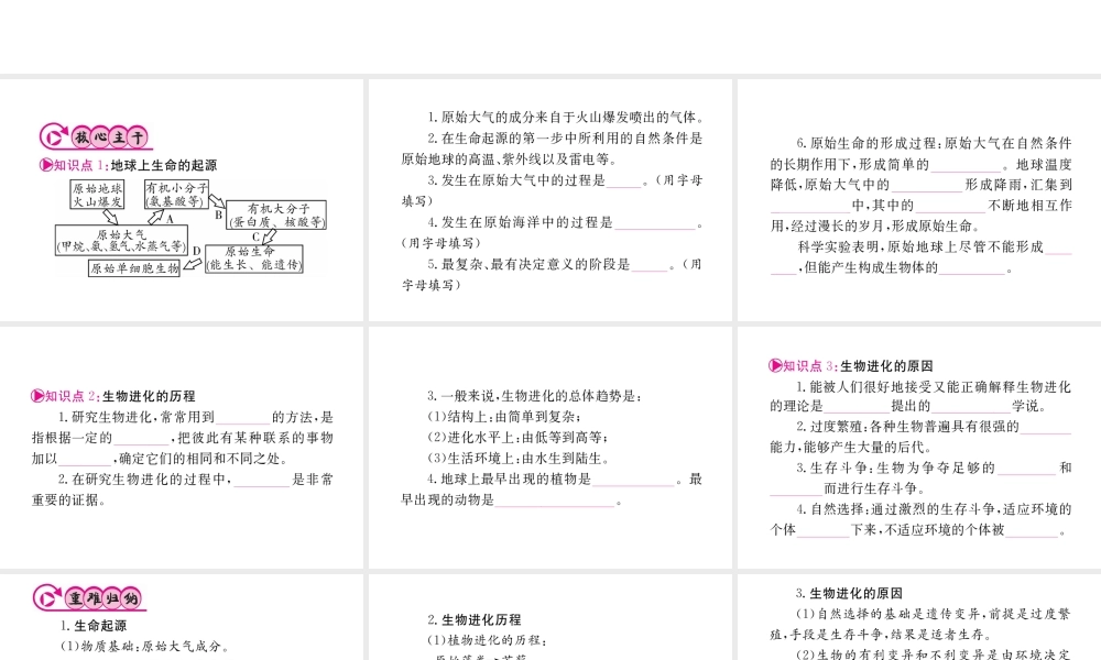 （重庆专版）中考生物 第一部分 知识系统复习 第七单元 第三章 生命起源和生物进化配套课件-人教版初中九年级全册生物课件