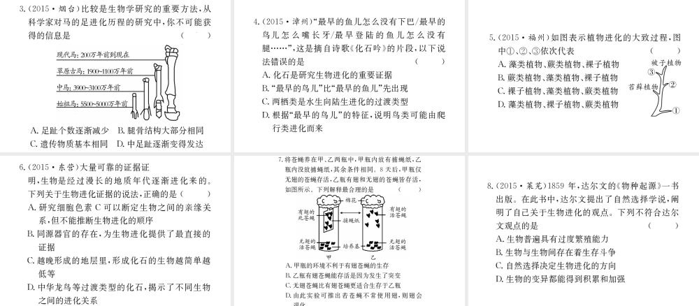（重庆专版）中考生物 第一部分 知识系统复习 第七单元 第三章 生命起源和生物进化配套课件-人教版初中九年级全册生物课件