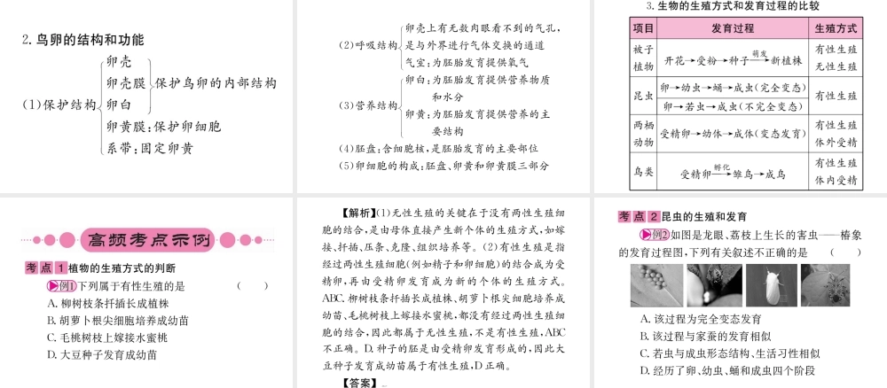 （重庆专版）中考生物 第一部分 知识系统复习 第七单元 第一章 生物的生殖和发育配套课件-人教级全册生物课件