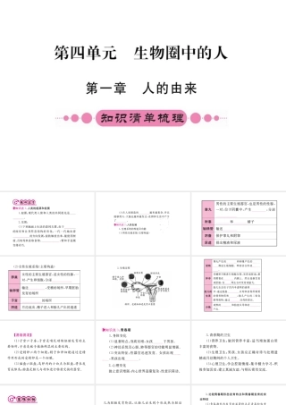 （重庆专版）中考生物 第一部分 知识系统复习 第四单元 生物圈中的人配套课件-人教版初中九年级全册生物课件