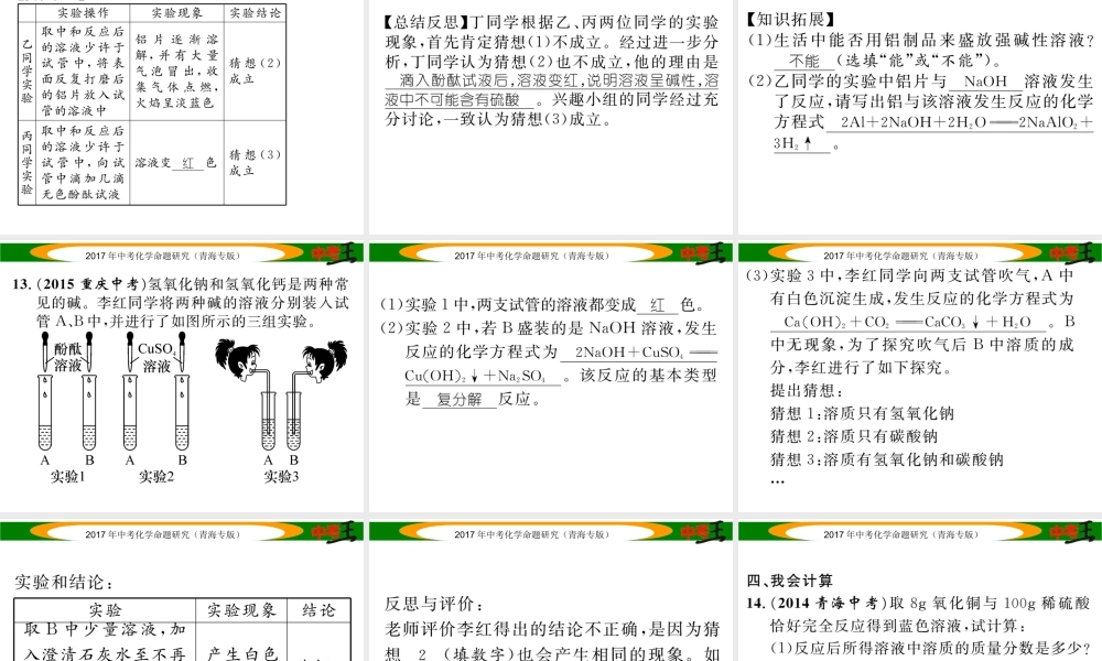 （青海专版）中考化学命题研究 第一编 教材知识梳理篇 第十单元 酸和碱（精练）课件-人教版初中九年级全册化学课件