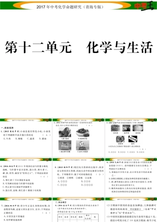 （青海专版）中考化学命题研究 第一编 教材知识梳理篇 第十二单元 化学与生活（精练）课件-人教版初中九年级全册化学课件