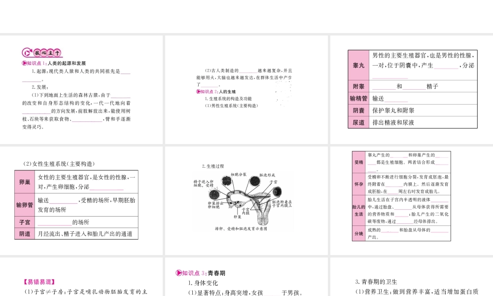 （重庆专版）中考生物 第一部分 知识系统复习 第四单元 生物圈中的人配套课件-人教级全册生物课件
