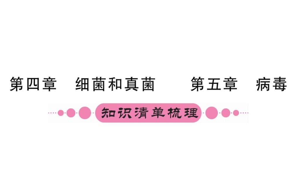 （重庆专版）中考生物 第一部分 知识系统复习 第五单元 第4-5章配套课件-人教版初中九年级全册生物课件