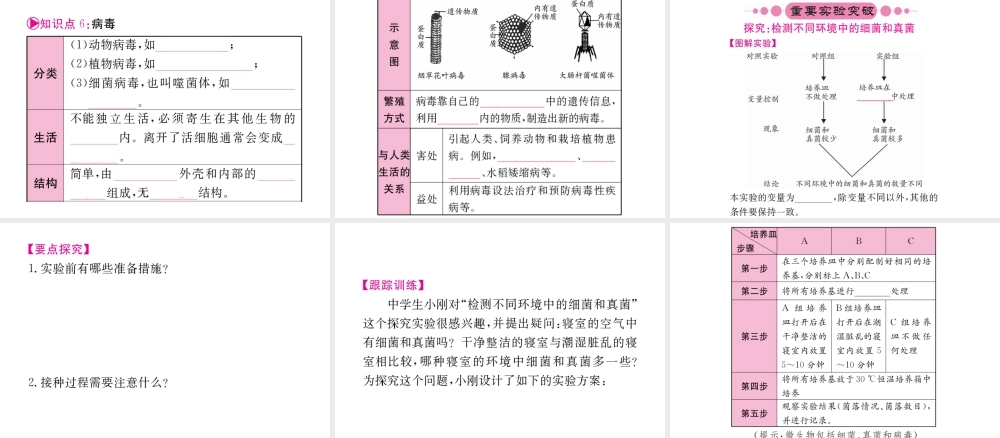 （重庆专版）中考生物 第一部分 知识系统复习 第五单元 第4-5章配套课件-人教版初中九年级全册生物课件