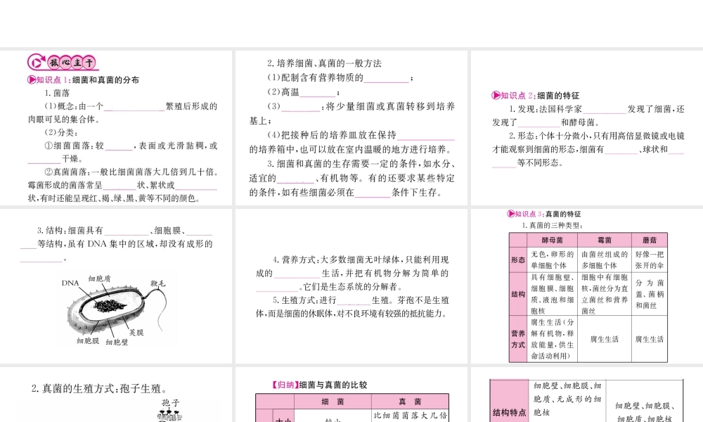 （重庆专版）中考生物 第一部分 知识系统复习 第五单元 第4-5章配套课件-人教级全册生物课件