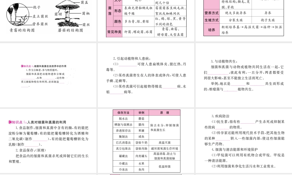 （重庆专版）中考生物 第一部分 知识系统复习 第五单元 第4-5章配套课件-人教级全册生物课件