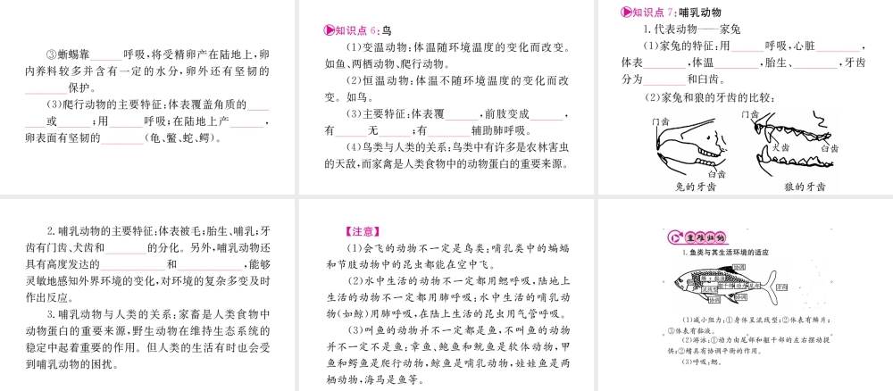 （重庆专版）中考生物 第一部分 知识系统复习 第五单元 第一章 动物的主要类群配套课件-人教版初中九年级全册生物课件