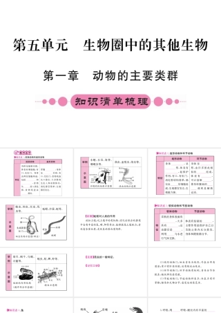 （重庆专版）中考生物 第一部分 知识系统复习 第五单元 第一章 动物的主要类群配套课件-人教版初中九年级全册生物课件