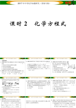 （青海专版）中考化学命题研究 第一编 教材知识梳理篇 第五单元 化学方程式 课时2 化学方程式（精练）课件-人教版初中九年级全册化学课件