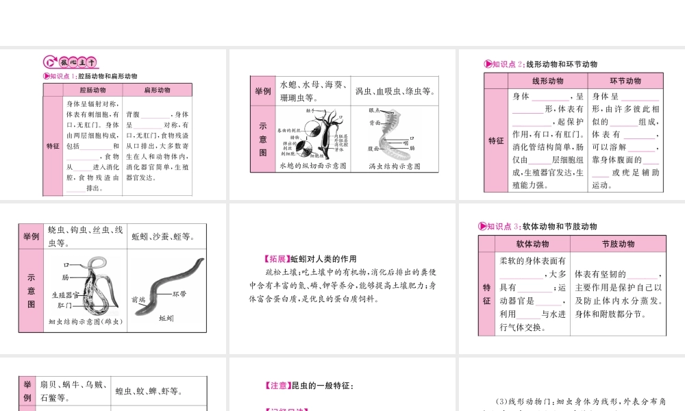 （重庆专版）中考生物 第一部分 知识系统复习 第五单元 第一章 动物的主要类群配套课件-人教级全册生物课件