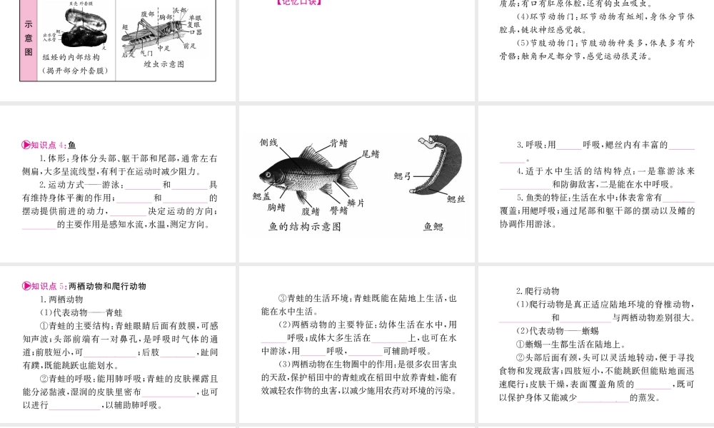 （重庆专版）中考生物 第一部分 知识系统复习 第五单元 第一章 动物的主要类群配套课件-人教级全册生物课件