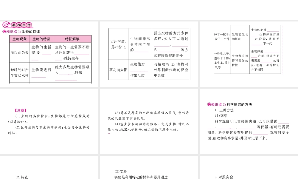 （重庆专版）中考生物 第一部分 知识系统复习 第一单元 生物和生物圈配套课件-人教版初中九年级全册生物课件